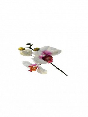 Орхидея 33 см белый/розовый