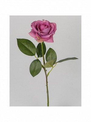 Роза Келли 44 см сиреневый 1 шт