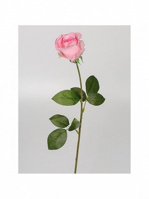 Роза Диана 66 см 1 шт цв розовый