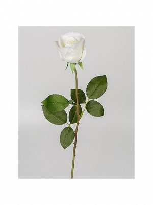 Роза Диана 66 см 1 шт цв белый