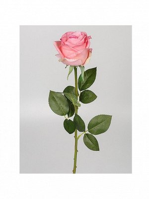 Роза Венера 70 см1 шт цв нежно - розовый