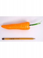 Морковь большая 15 см 1/10 HS-18-6