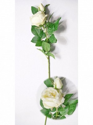 Роза Остина английская с бутоном 72 см цвет белый HS-26-3