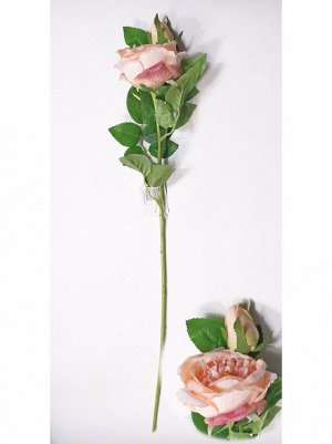 Роза Остина английская с бутоном 72 см цвет светло-розовый HS-26-3