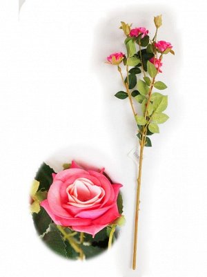 Роза кустовая 67 см цвет розовый
