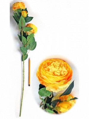Роза пионовидная 3 бутона 71 см