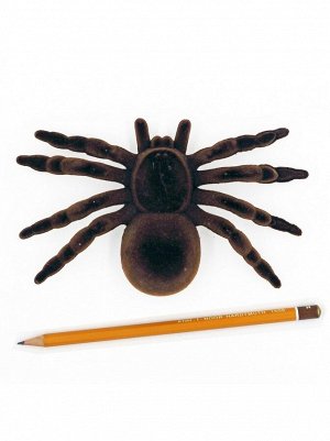 Паутина с пауком 150 х 150 см пластик/ворсистая нить цвет черный HS-22-7