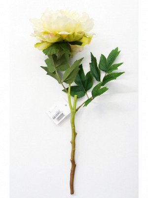 Пион цветок 42 см цвет айвори HS-26-2
