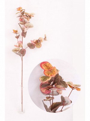 Эвкалипт ветка 90 см цвет Коричнево-красный