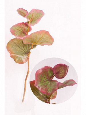 Эвкалипт ветка 90 см цвет Красно-зеленый
