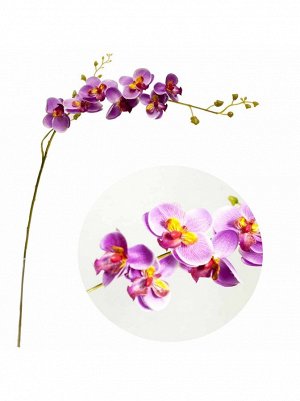 Орхидея цветок искусств.