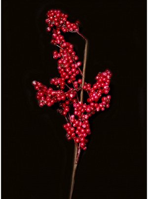 Ветка с ягодами 60 см цвет красный