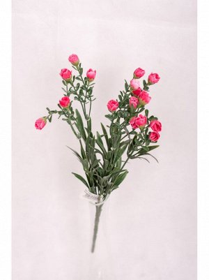 Куст травы с мелкими розовыми цветами