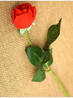 Роза бутон 44 см цвет алый