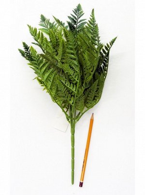 Папоротник Диплазиум 41 см цвет зеленый HS-32-21