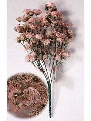 Репейник в цвету куст 35 см цвет розовый