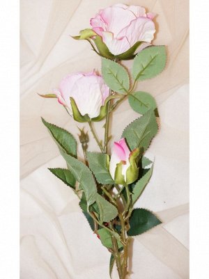 Роза 3 бутона розовая