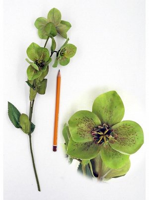 Цветок Морозника 40 см цвет зеленый HS-37-16