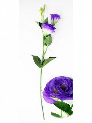 Цветок Лизиантус 67 см цвет фиолетовый HS-25-4
