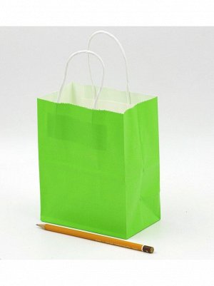 Пакет крафт 13 х 16,5 х 8 см цвет зеленый HS-42-1