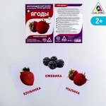 Обучающие карточки по методике Г. Домана «Ягоды», 12 карт, А6