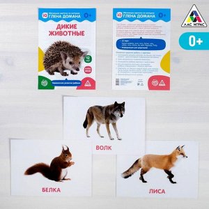 Обучающие карточки по методике Глена Домана «Дикие животные», 12 карт, А5