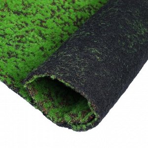 Мох искусственный, декоративный, полотно 1 ? 1 м, зелёный на чёрном