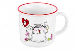 Кружка 380 мл 13*9,5*8,8 см "БЕЗ КОТА ЖИЗНЬ НЕ ТА" "Кошка - модница" NEW BONE CHINA