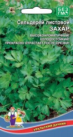 Сельдерей листовой Захар (УД) (Многолетник,для многократн.срезки зелени,с ран.весны до позд.осени)