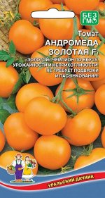 Томат Андромеда Золотая F1 (УД) (65-70 см, плоско-округлый, оранжевый, 120 г) (евро)