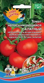 Томат Непасынкующийся Салатный (Марс) Новинка!!!