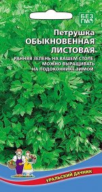 Петрушка Обыкновенная Листовая (Марс) (ранний, пригоден, и на пучок и многократной срезки зелени)