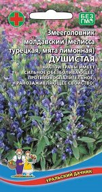 Змееголовник лимонный Мелисса Турецкая (Марс) (пряный однолетник с сильным ароматом лимона, медонос)