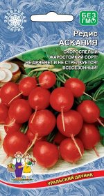 Редис Асканья (УД) (скороспелый, эллиптический, ярко-красный, 15-25 г, с белой, хрустящей мякотью)