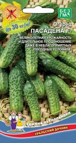 Огурец Пасадена F1 (УД) (ГОЛЛАНДИЯ) (самоопыляемый,8см,кр/буг,букетное плодообразование,до5 завязей)
