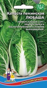 Капуста пекинская Любаша (Марс) (ранняя, кочан рыхлый, открытый, до 2 кг, отличный вкус)