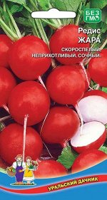Редис Жара (Марс)(УД) (ранний, круглый, красный, до 30 г, мякоть белая, сочная)