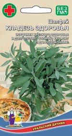 Шалфей Кладезь Здоровья (УД) (многолетний,до 50 см,ароматные листья и цветки)