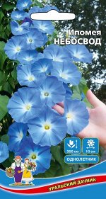 Цветы Ипомея Небосвод (Марс) (длина 8 м, голубая, цветет с июня по октябрь)