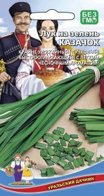 Лук на зелень Казачок