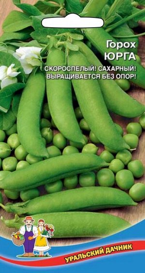 Горох Юрга (УД) (Дружное созревание,неприхотливость,высокие вкусовые и диетические качества)