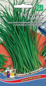 Лук на зелень Параде (УД) ГОЛЛАНДИЯ Новинка!!!