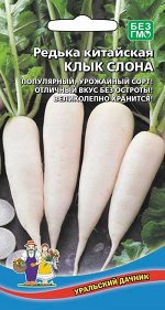 Редька Китайская Клык Слона (Марс) (18-22 см, 300-500 г, белая, сочная, хрустящая и слабоострая)