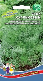 Укроп Карликовый (УД) Новинка!!!