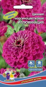 Цветы Цинния Иллюминация георгиноцветковая (УД) (70 см,соцветия 12 см,ярко-желтые)
