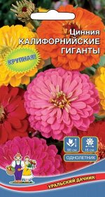 Цветы Цинния Калифорнийские Гиганты (УД) (смесь окрасок, очень крупная)