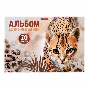 Альбом для рисования А4, 20 листов на клею Wild Cat, обложка мелованный картон 170 г/м2, жёсткая подложка, блок 120 г/м2