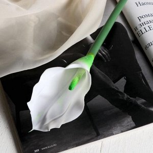 Цветок искусственный "Калла" 7х65 см, белый