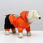 Комбинезон Dog Care, размер XL (ДС  34, ОШ 31, ОГ 47 см), оранжевый