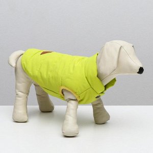 Куртка для собак, XL (ДС 35 см, ОШ 32 см, ОГ 49 см), жёлтая